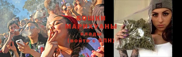 прущие грибы Архангельск