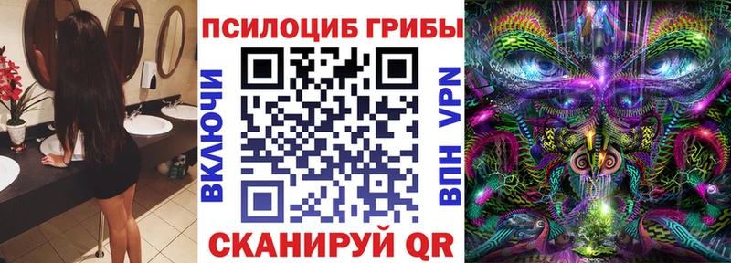 Купить где  Иланский  Псилоцибиновые грибы мицелий 